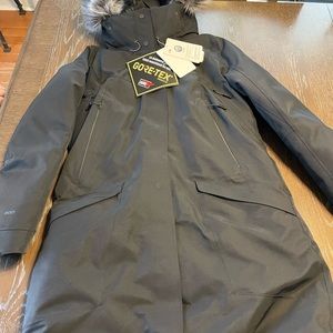 NWT NorthFace womens Cryos GTX urban explore goretex jacket